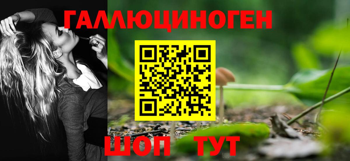Галлюциногенные грибы GOLDEN TEACHER Норильск